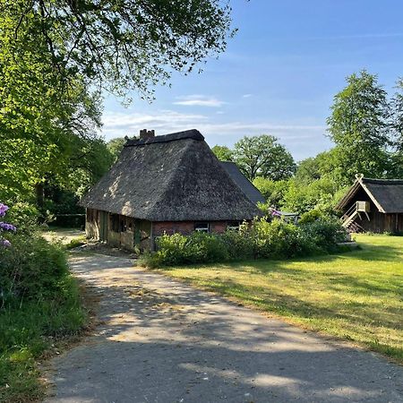 Heidehof Oberhaverbeck Villa Bispingen Exterior photo
